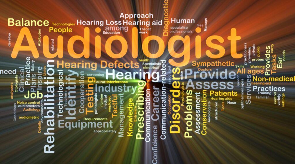 professional doctorate in audiology